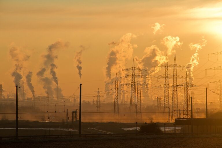 What Is The Most Important Environmental Issue Esstutor