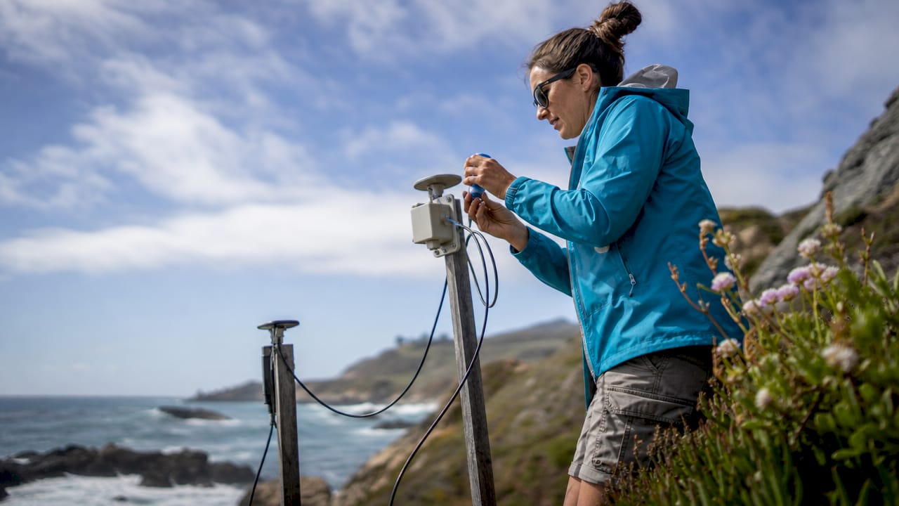 Climate scientist conducting coastal field monitoring