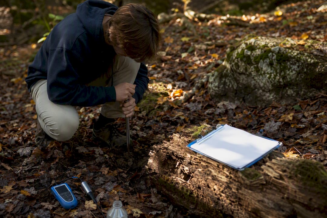 IB ESS field study practical tools on forest floor