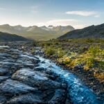 Glacial landscape showing stages of ecological succession