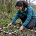 IB student conducting environmental fieldwork