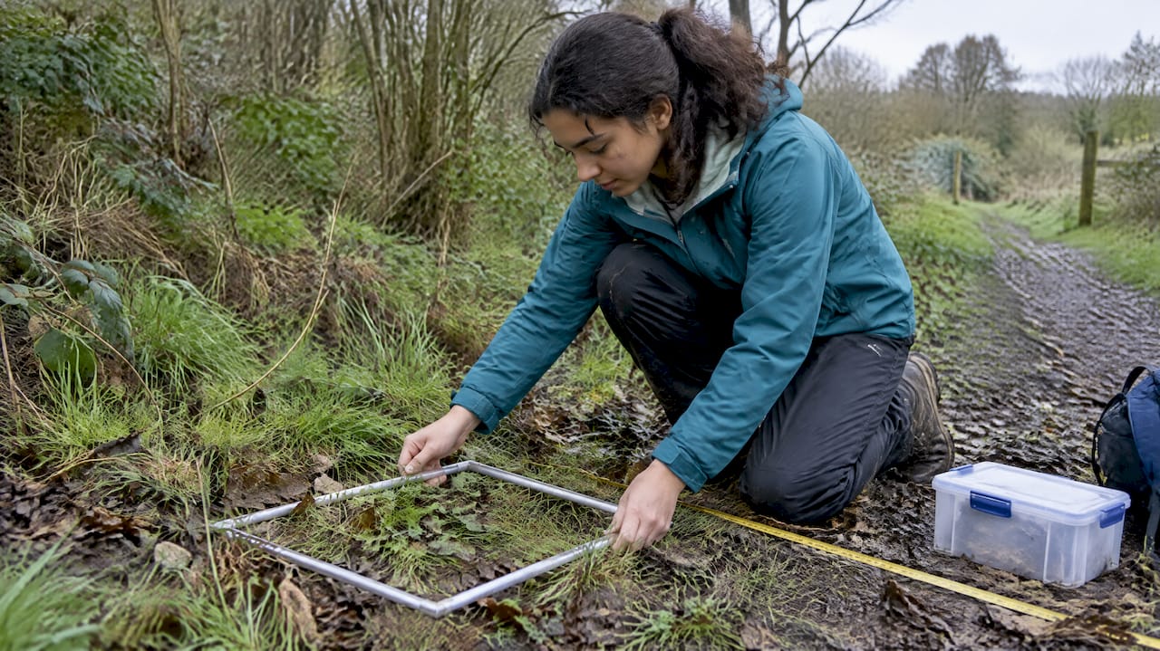 IB student conducting environmental fieldwork