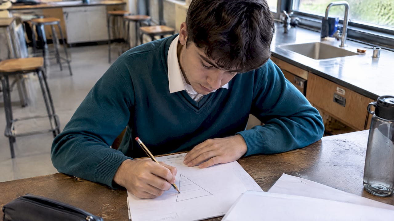 Student practicing an ecology pyramid question